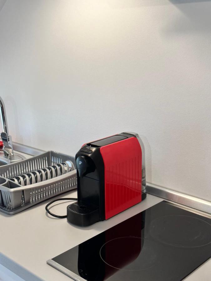 Red Family Apartments Păltiniş エクステリア 写真