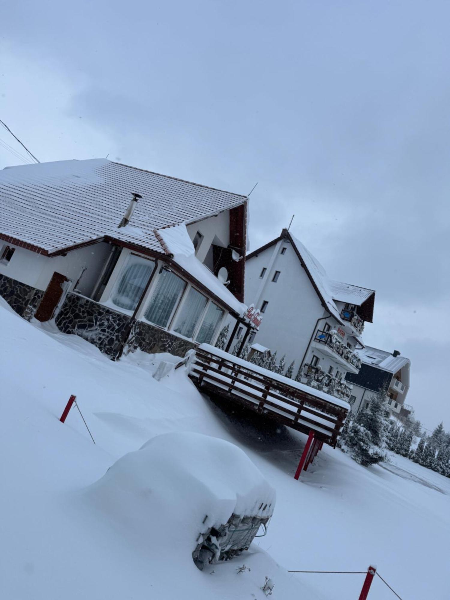 Red Family Apartments Păltiniş エクステリア 写真