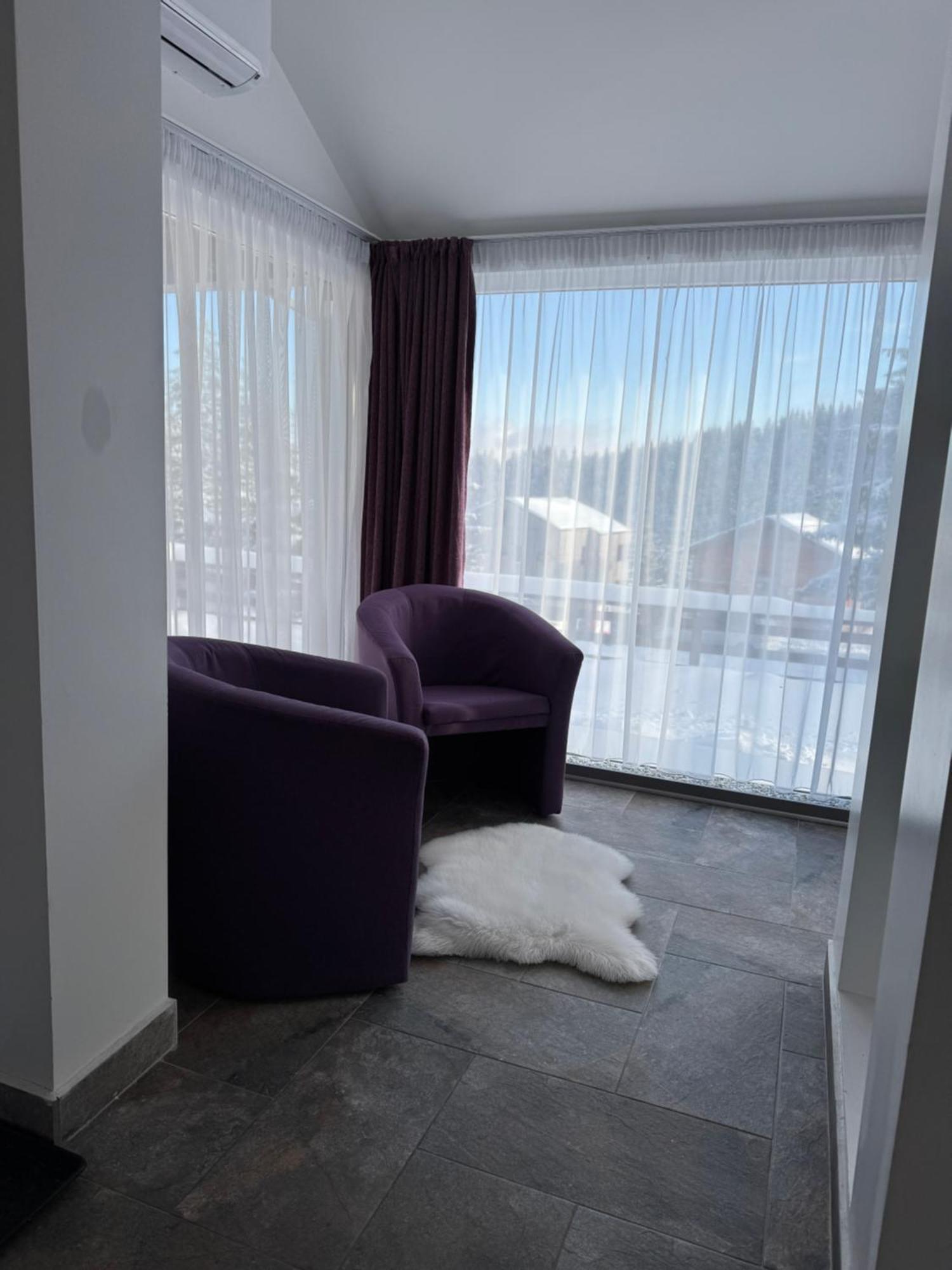 Red Family Apartments Păltiniş エクステリア 写真
