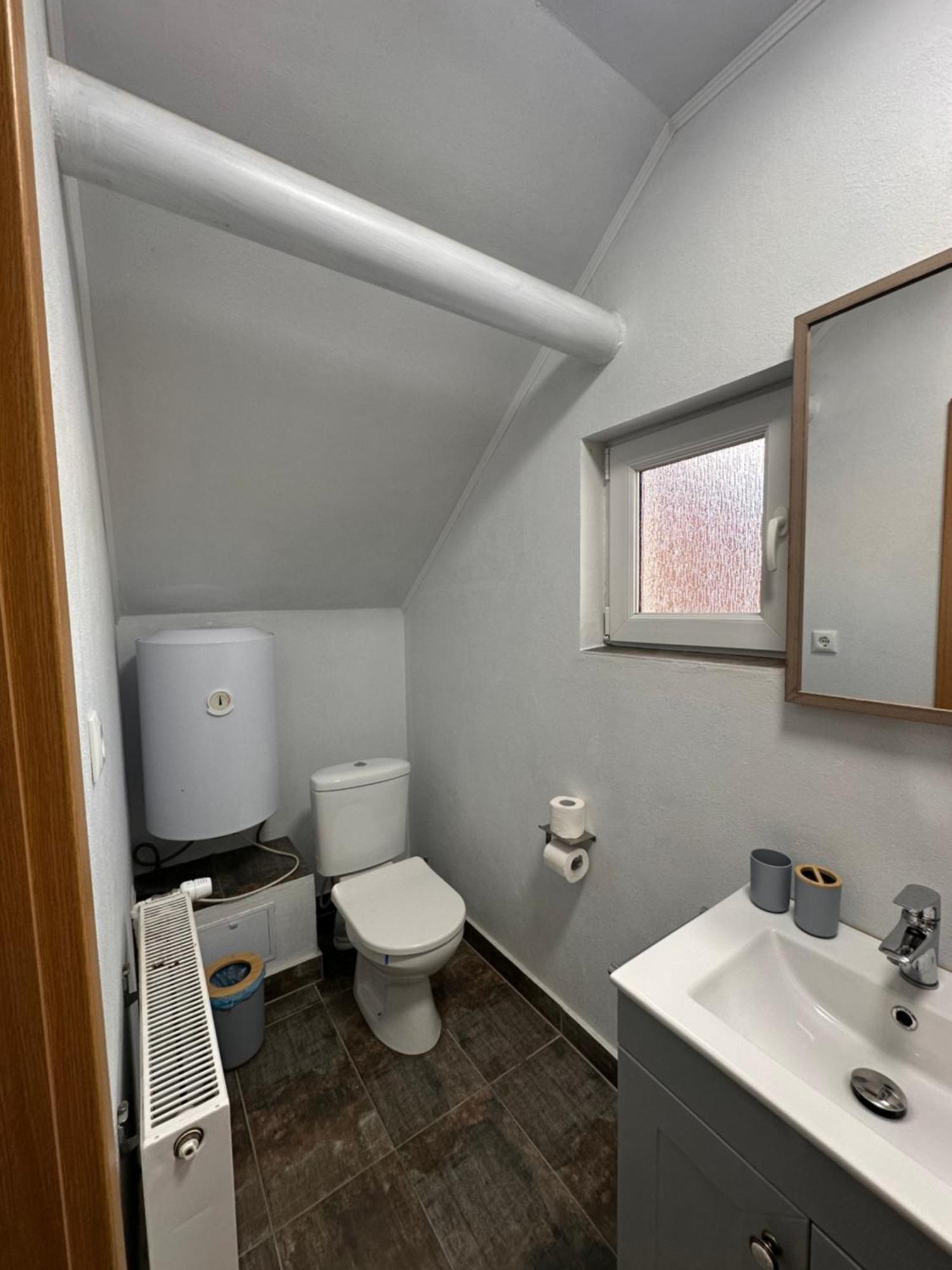 Red Family Apartments Păltiniş エクステリア 写真