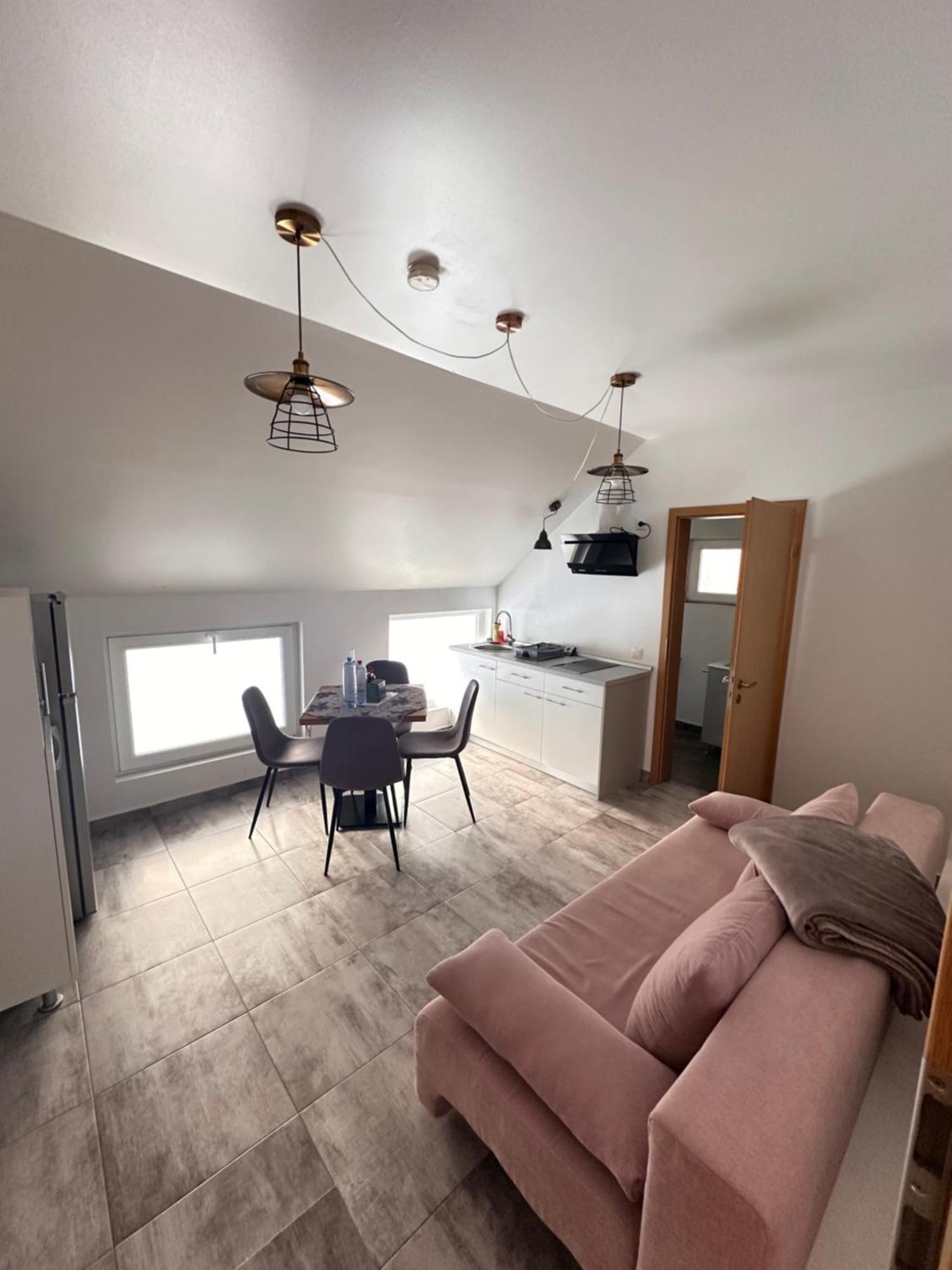 Red Family Apartments Păltiniş エクステリア 写真