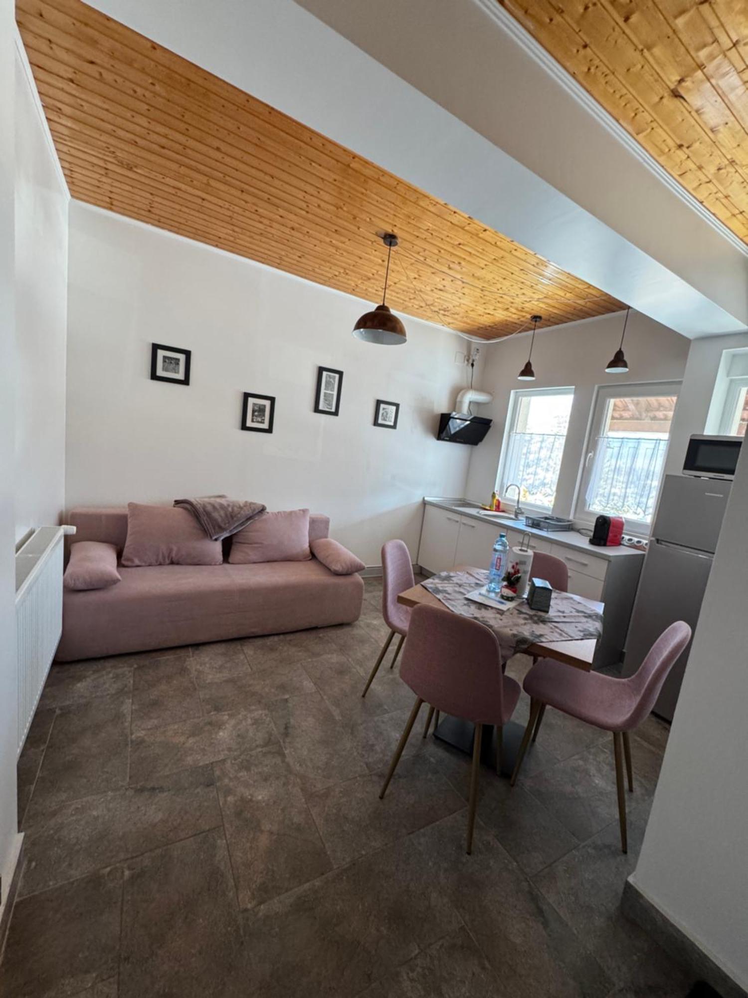 Red Family Apartments Păltiniş エクステリア 写真