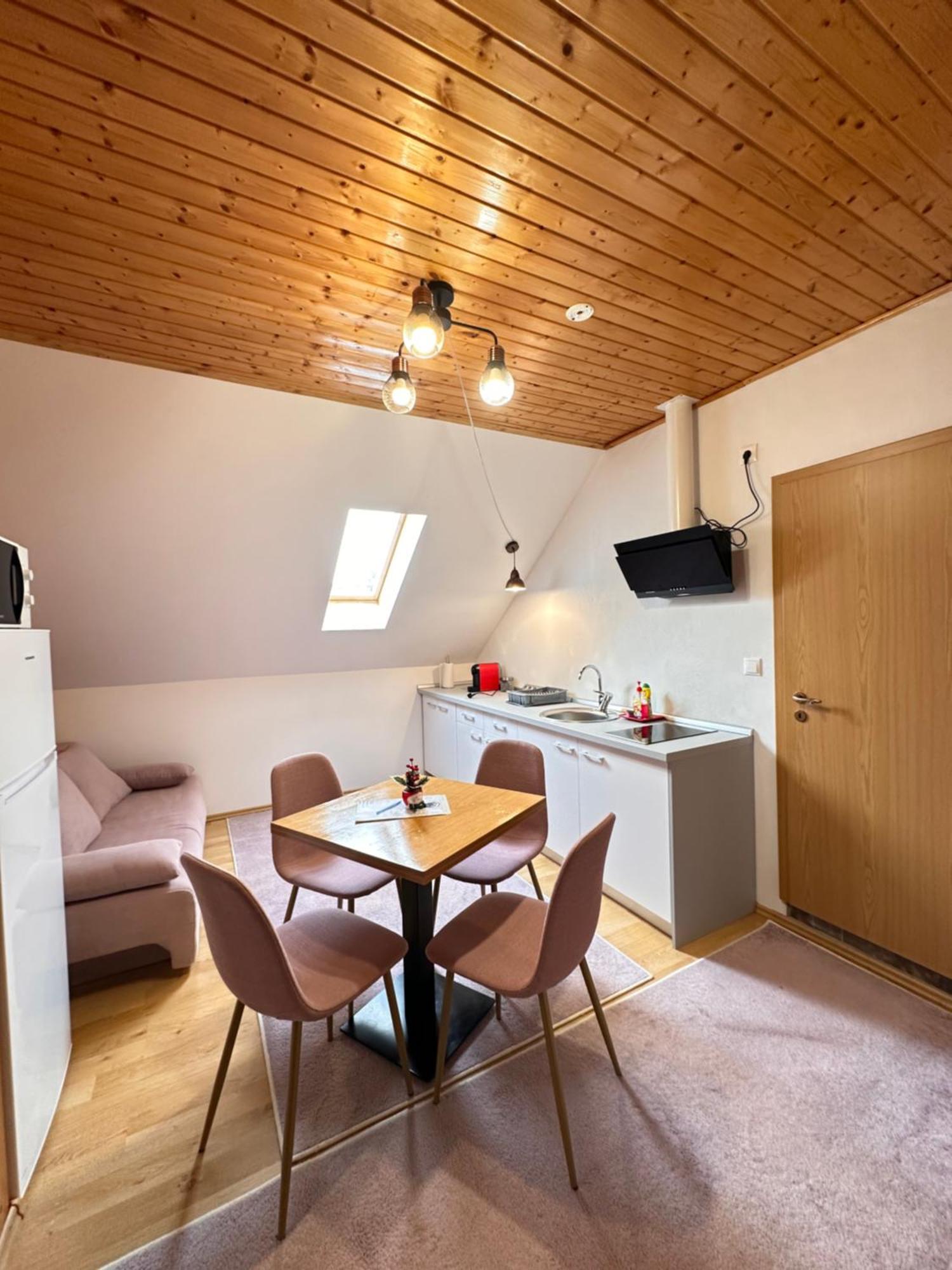 Red Family Apartments Păltiniş エクステリア 写真