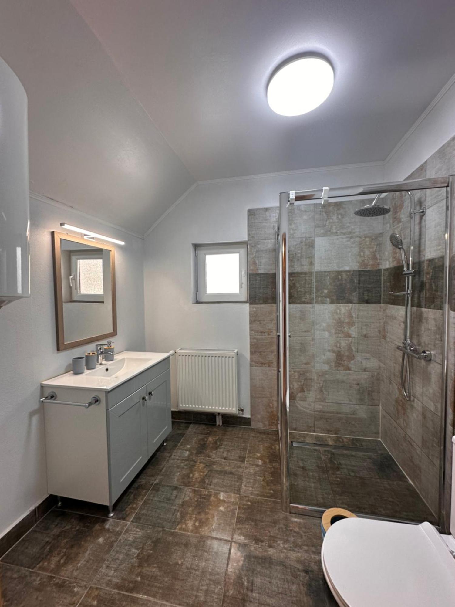 Red Family Apartments Păltiniş エクステリア 写真